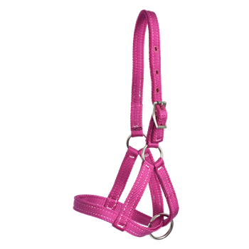 Any Color FIGURE 8 Style FOAL HALTER made from BETA BIOTHANE (Solid Colored)