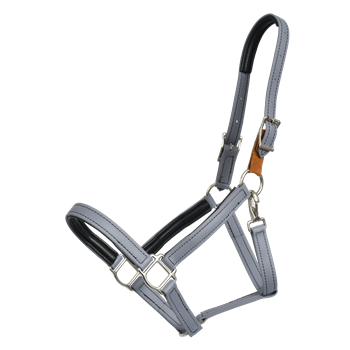 Any Color SAFETY HALTER & LEAD with BREAKAWAY LEATHER TAB made from BETA BIOTHANE (Solid Colored)