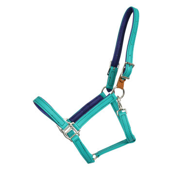 Any Color SAFETY HALTER & LEAD with BREAKAWAY LEATHER TAB made from BETA BIOTHANE (Solid Colored)