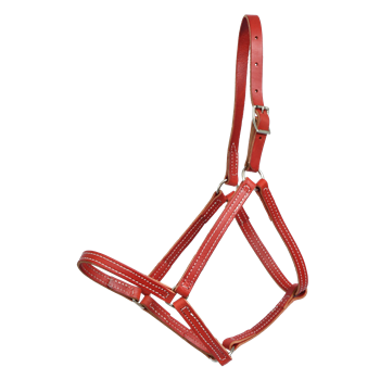 ***BETTER THAN LEATHER ** Economy Halter made from BETA BIOTHANE