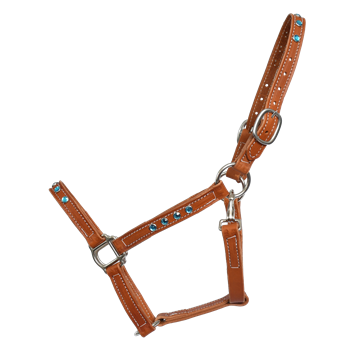 Turnout HALTER & LEAD made from BETA BIOTHANE (with BLING)