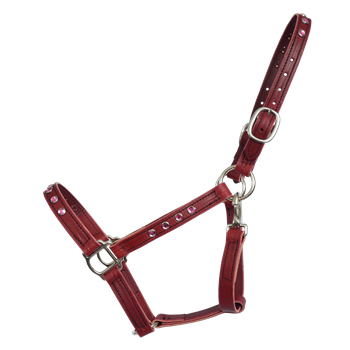 STABLE HALTER & LEAD made from LEATHER