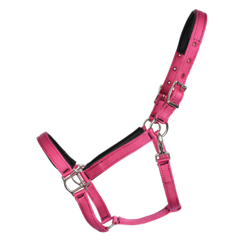 Padded Halter made from BETA BIOTHANE with Black NEOPRENE Padding