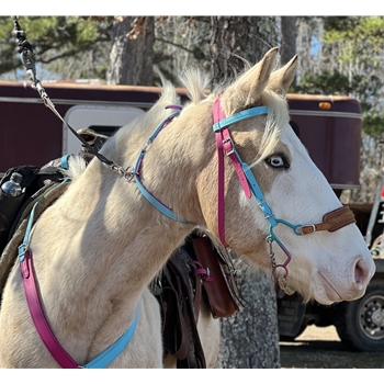 Two Horse Tack- Buy Picket Line Neck Collar for Horses Made From Beta Biothane