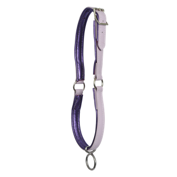 Two Horse Tack- Buy Picket Line Neck Collar for Horses Made From Beta Biothane