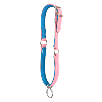 Two Horse Tack- Buy Picket Line Neck Collar for Horses Made From Beta Biothane