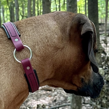 Center Ring DOG COLLAR made from BETA BIOTHANE (Solid Colored)