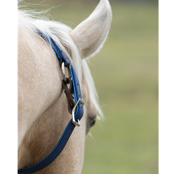 Get Neck Collar for Horse Made from Beta Biothane at Two Horse Tack