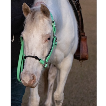 ROPE COMBO HALTER made from BETA BIOTHANE (Solid Colored)