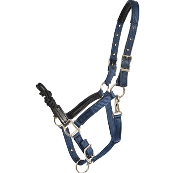 Shop Nylon Rope Combo Halter from Two Horse Tack
