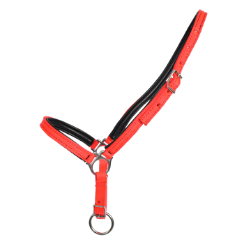 GROOMING HALTER & LEAD made from BETA BIOTHANE (Solid Colored)