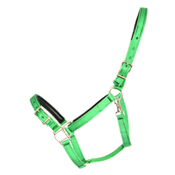 Buckle Nose Halter & Lead Beta Biothane Solid Colored