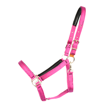 Heavy Duty SAFETY HALTER with BREAKAWAY LEATHER TAB made from NYLON