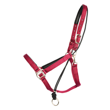 PULL BACK HALTER made from BETA BIOTHANE (Solid Colored)