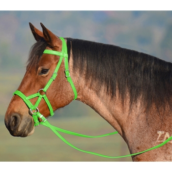 LIME GREEN SIDEPULL Bitless Bridle made from BETA BIOTHANE 