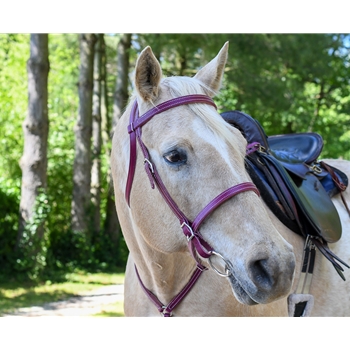 ENGLISH CONVERT-A-BRIDLE made from LEATHER