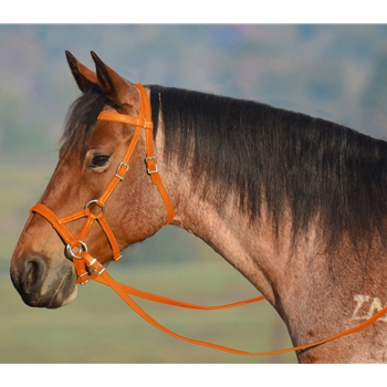 ORANGE SIDEPULL Bitless Bridle made from BETA BIOTHANE 