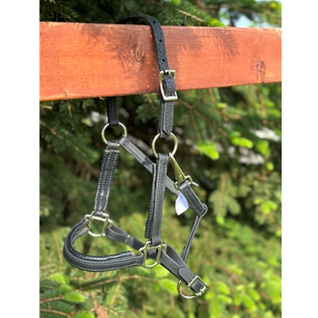 Any Color Regular FOAL/MINI HALTER made from BETA BIOTHANE (Solid Colored)