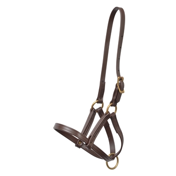 Any Color Regular FOAL/MINI HALTER made from BETA BIOTHANE (Solid Colored)