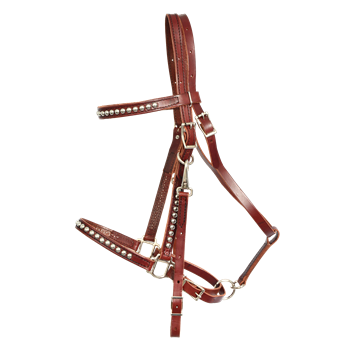 Traditional HALTER BRIDLE with BIT HANGERS made from LEATHER 