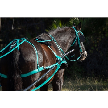 thumbnail interactive-video image 1 of Heavy Duty BioThane Two-in-Hand Driving Lines For Horses – 19mm Achenbach Cross Lines For Dressage & Training 1 of 4