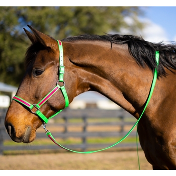 STABLE HALTER & LEAD made from BETA BIOTHANE (Solid Colored)