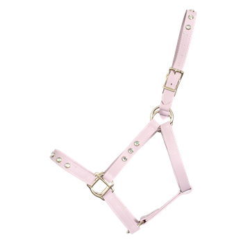 STABLE HALTER & LEAD made from LEATHER