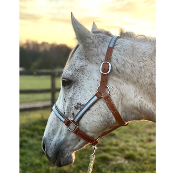 STABLE HALTER & LEAD made from BETA BIOTHANE (Solid Colored)