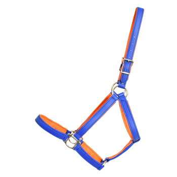 Padded Halter made from BETA BIOTHANE with NO RUB Padding