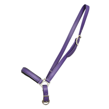 GROOMING HALTER & LEAD made from BETA BIOTHANE (Solid Colored)