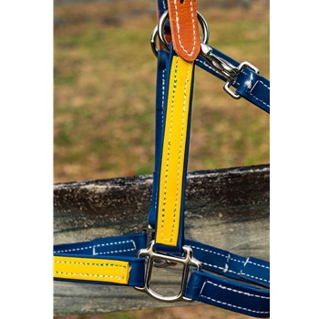 HALTER & LEAD made from BETA BIOTHANE (Solid Colored)