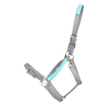 Buckle Nose Halter & Lead Beta Biothane Solid Colored