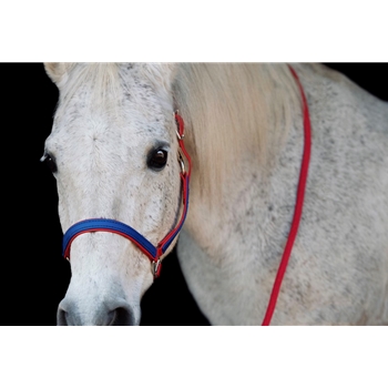 Any Color SAFETY HALTER & LEAD with BREAKAWAY LEATHER TAB made from BETA BIOTHANE (Solid Colored)
