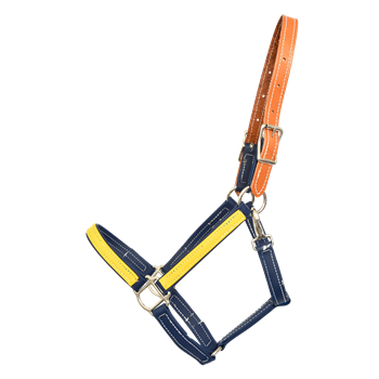 SAFETY HALTER & LEAD with Leather Breakaway Crown made from BETA BIOTHANE (Solid Colored)