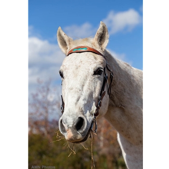 WESTERN BRIDLE (Full Browband) made from LEATHER