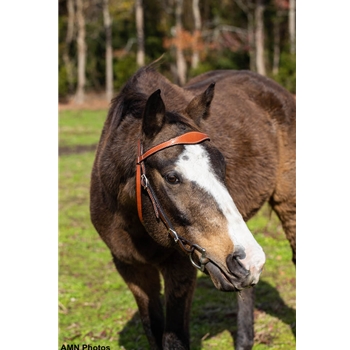 WESTERN BRIDLE (Full Browband) made from LEATHER