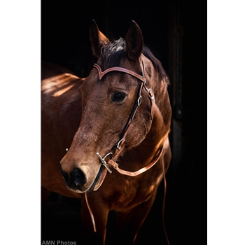 WESTERN BRIDLE (Full Browband) made from LEATHER