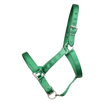 1.5 inch Heavy Duty DRAFT HORSE HALTER (Solid Colored)