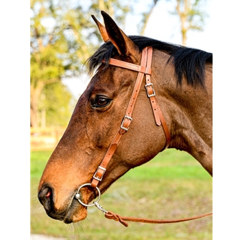 WESTERN BRIDLE (Full Browband) made from LEATHER