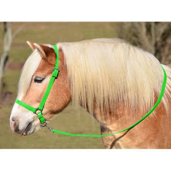 LIME GREEN GROOMING HALTER & LEAD made from BETA BIOTHANE