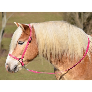 PINK GROOMING HALTER & LEAD made from BETA BIOTHANE
