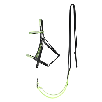 HTraditional HALTER BRIDLE made with REFLECTIVE DAY GLO Biothane