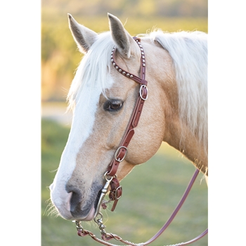 WESTERN BRIDLE (One Ear or Two Ear Split Browband) made from LEATHER