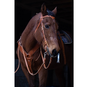 WESTERN BRIDLE (Full Browband) made from LEATHER