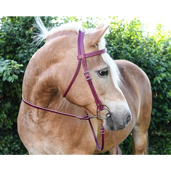 WESTERN BRIDLE (Full Browband) made from LEATHER