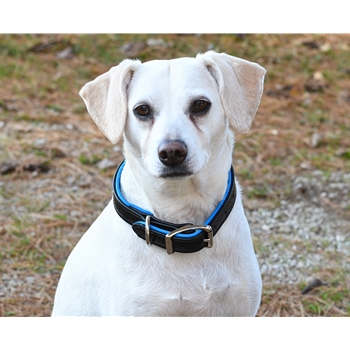 Center Ring DOG COLLAR made from BETA BIOTHANE (Solid Colored) 