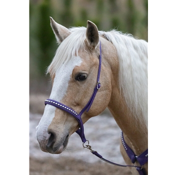 ENGLISH BRIDLE made from Beta Biothane (Solid Colored)