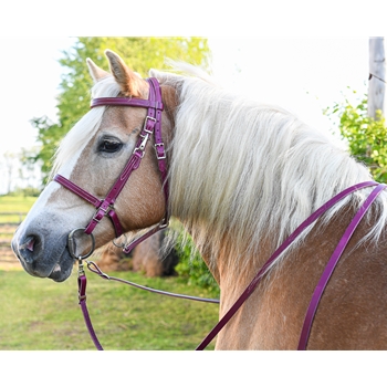 Traditional HALTER BRIDLE with BIT HANGERS made from LEATHER 