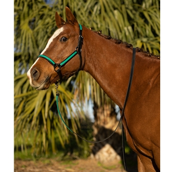 STABLE HALTER & LEAD made from BETA BIOTHANE (Solid Colored)