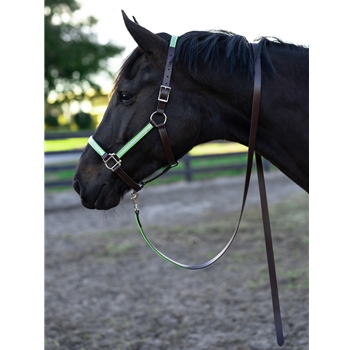 STABLE HALTER & LEAD made from BETA BIOTHANE (Solid Colored)